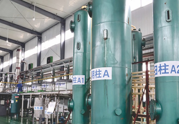 Introduction to Amino Acid Related Membrane Technology and Its Case Studies