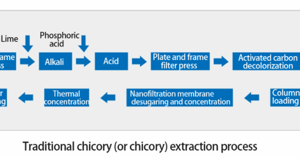 Extraction process of chicory film method